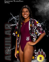 DHS_GWP_IND1-080