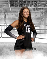 CHS_VAR_VB_IND1-36