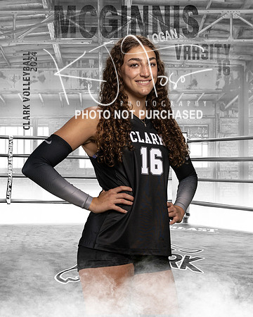 CHS_VAR_VB_IND1-36
