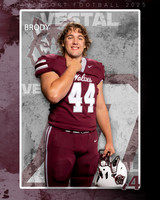 DHS_FB_Var_Ind1-86