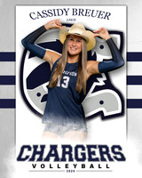 BHS_VAR_VB_IND1-80