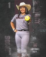 DHS_SB_V_Ind2-102