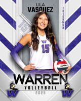 WHS_VB_Var_Ind1-49