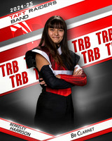 THSB_BBC_IND1-31