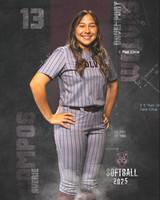 DHS_SB_V_Ind2-28