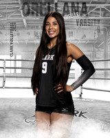 CHS_VAR_VB_IND1-9