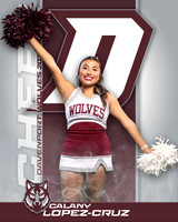 DHS_JV_CH_IND1-42