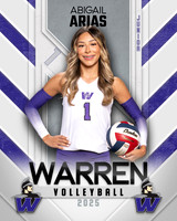 WHS_VB_Var_Ind1-52