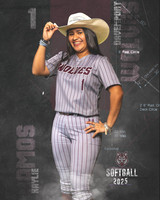 DHS_SB_V_Ind2-86