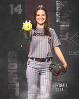 DHS_SB_V_Ind2-113