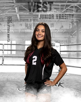 CHS_JV_VB_IND1-2
