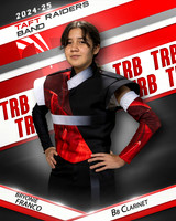 THSB_BBC_IND1-07