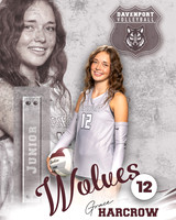 DHS_VB_Var_Ind2-27