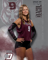 DHS_VAR_VB_IND1-24