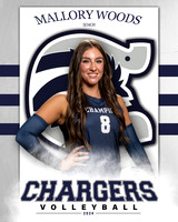 BHS_VAR_VB_IND1-35