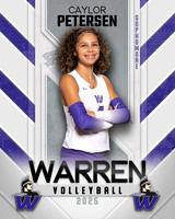 WHS_VB_Var_Ind1-21
