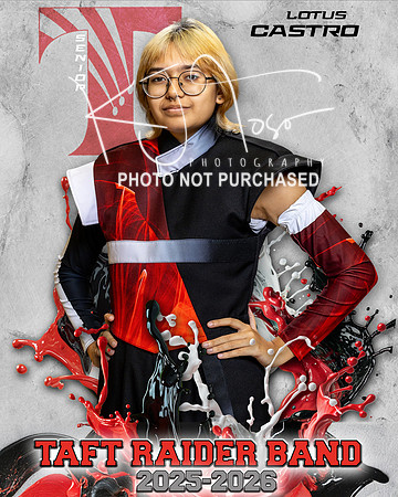 THS_BAND_DL_Ind-24