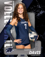 BHS_VB_JV_Ind1-29