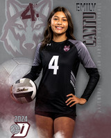 DHS_JV_VB_IND1-40
