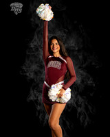 Stanford4