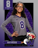 WHS_JV_VB_IND1-36