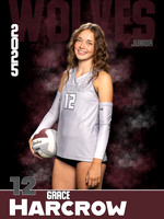 DHS_VB_Var_Ind1-57