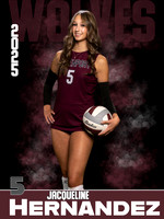 DHS_VB_JV_Ind1-53