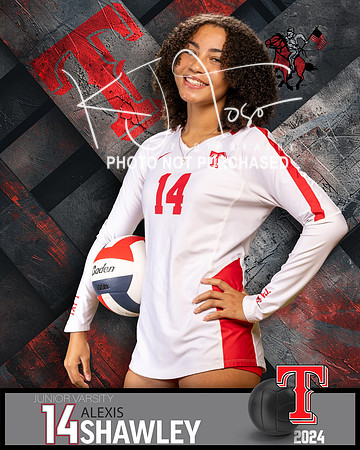 THS_JV_VB_IND2-60