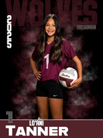 DHS_VB_9th_Ind1-28