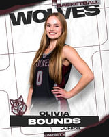 DHS_VAR_GBB_Ind-1