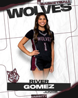 DHS_VAR_GBB_Ind-12