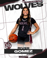 DHS_VAR_GBB_Ind-22