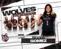 DHS_VAR_GBB_MM-2