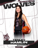 DHS_VAR_GBB_Ind-37
