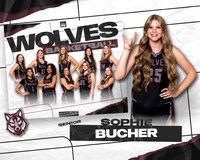 DHS_VAR_GBB_MM-10