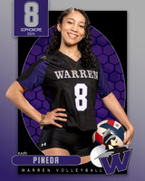 WHS_VAR_VB_IND1-42