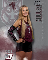 DHS_VAR_VB_IND1-16