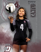 DHS_JV_VB_IND1-52
