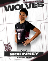 DHS_JV_BB_Ind-1