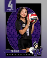 WHS_VAR_VB_IND1-72
