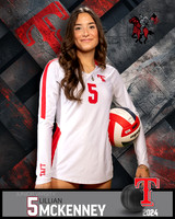 THS_JV_VB_IND2-37