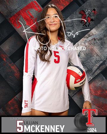 THS_JV_VB_IND2-37