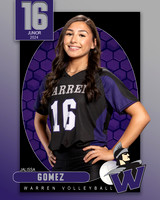 WHS_VAR_VB_IND1-16