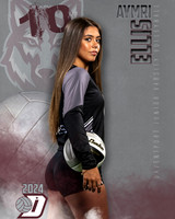 DHS_JV_VB_IND1-58