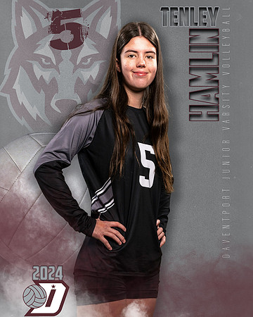 DHS_JV_VB_IND1-17