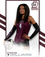 DHS_VAR_VB_IND2-49
