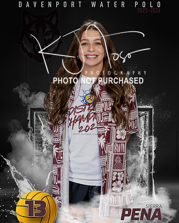 DHS_WP_Ind1-531