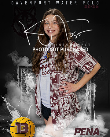 DHS_WP_Ind1-532