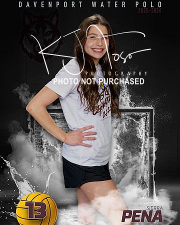 DHS_WP_Ind1-537