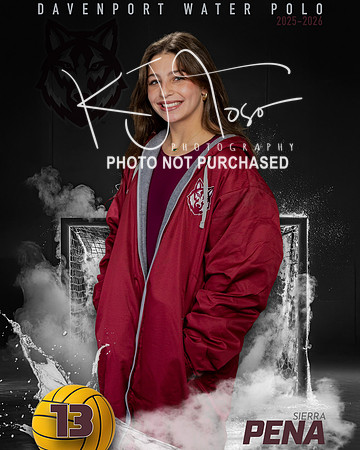 DHS_WP_Ind1-538